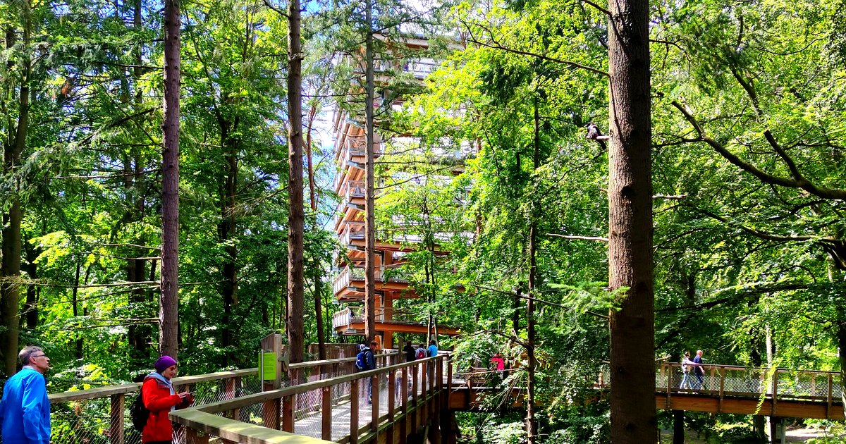 Baumwipfelpfad Usedom in Heringsdorf
