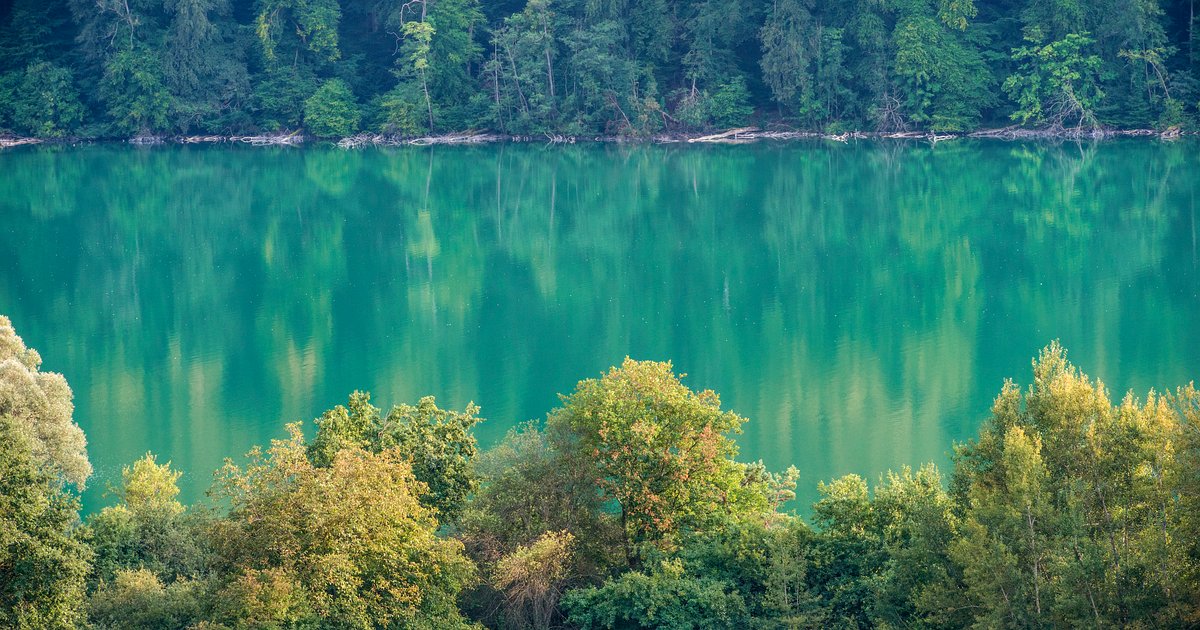 Mindelsee Naturschutzgebiet Bodensee
