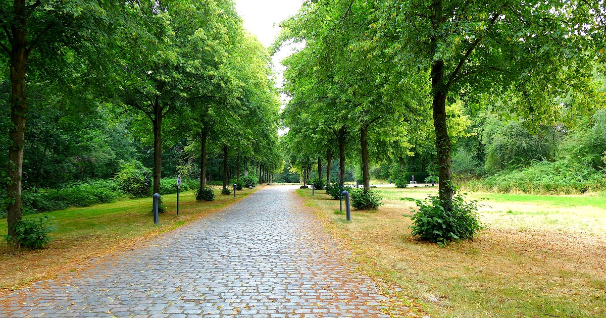 Naturpark Maas-Schwalm-Nette – Wasserlandschaft am Niederrhein