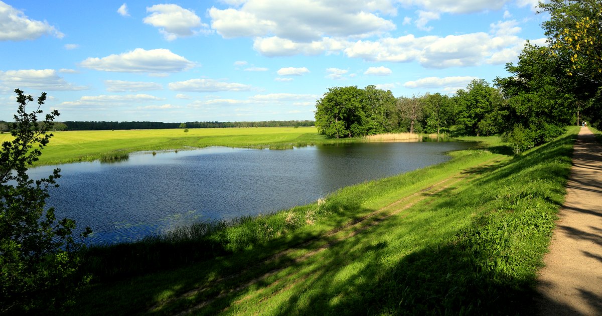 Wörlitzer Elbdeich im Gartenreich Dessau-Wörlitz